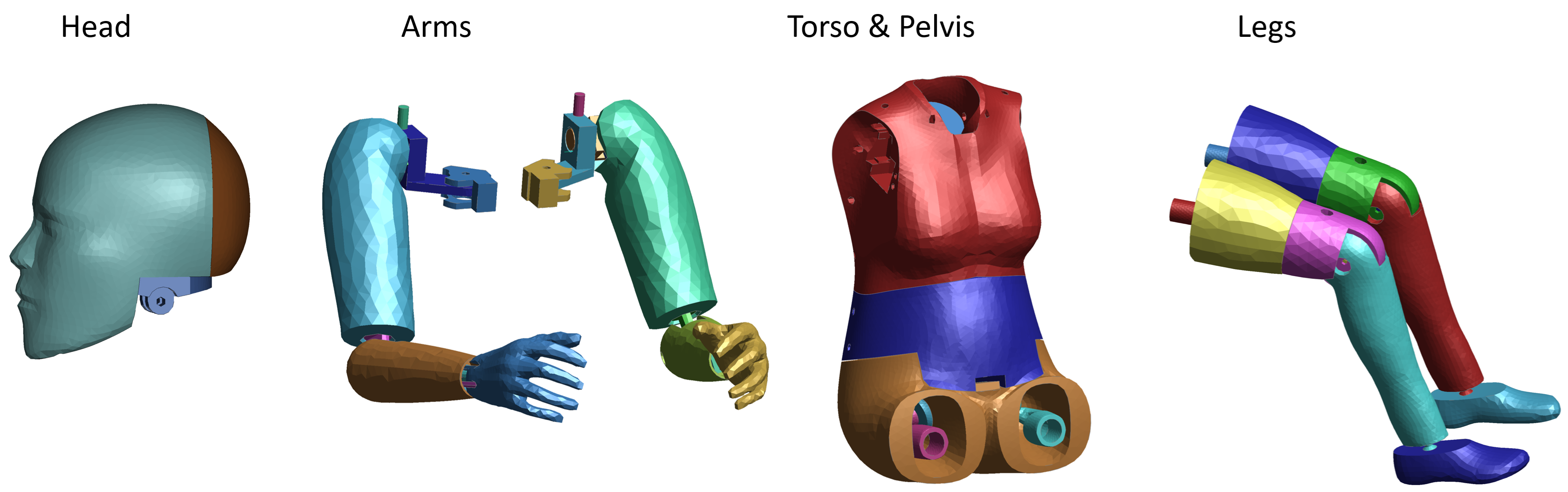 Body regions used in mass measurements